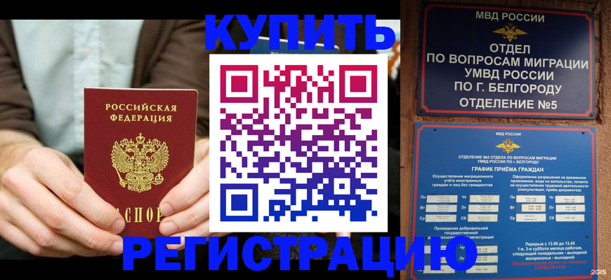 прописка 2025 в Чудово